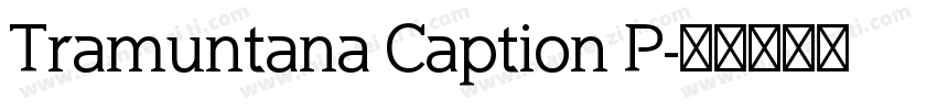 Tramuntana Caption P字体转换